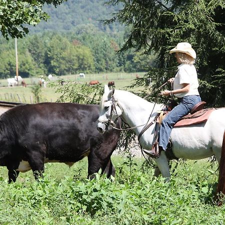 Отель French Broad Outpost Ranch Del Rio Экстерьер фото