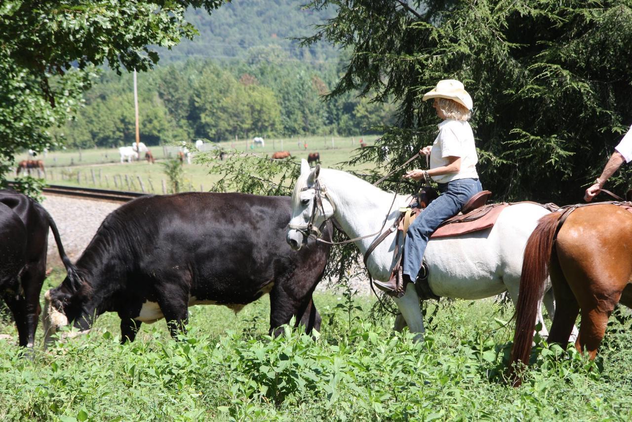 Отель French Broad Outpost Ranch Del Rio Экстерьер фото
